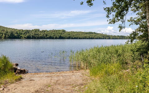 Sjödrömmen: Blå, Vand, Vandressourcer, Krop Af Vand, Naturligt Miljø, Natur, Naturlige Landskab, Vegetationen, Bank, Vandvej