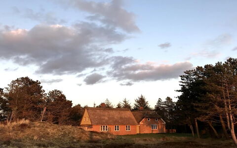 Ibbe - 3.5Km from the Sea: Himmel, Græs, Natur, Hus, Tag, Almindeligt, Sky, Sommerhus, Landdistrikt, Græs-