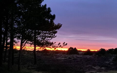 Ibbe - 3.5Km from the Sea: Himmel, Afdeling, Natur, Blad, Afterglow, Naturlige Landskab, Skumring, Solnedgang, Horisont, Orange