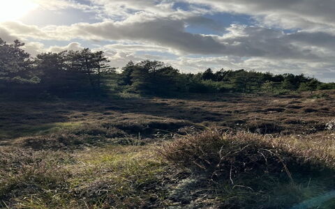 Ibbe - 3.5Km from the Sea: Himmel, Sky, Græs, Naturligt Miljø, Vegetationen, Græs-, Busk, Økoregion, Ødemark, Cumulus