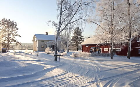Jutila: Træ, Sommerhus, Hjem, Bjælkehytte, Tømmer, Sidespor, Hårdttræ, Naturmateriale, Garden Bygninger, Hytte