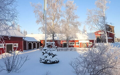 Jutila: Træ, Sommerhus, Hjem, Bjælkehytte, Tømmer, Sidespor, Hårdttræ, Naturmateriale, Garden Bygninger, Hytte