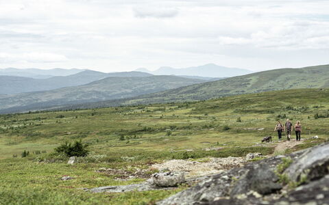 Trillevallen 6: Bjergrige Landskabsformer, Sky, Græs, Græs-, Bakke, Bjerg, Økoregion, Highland, Ødemark, Landskab