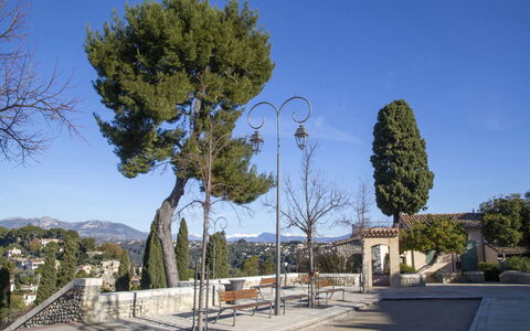 Cagnes Provencal: Træ, Offentlige Rum, Skygge, Walkway, Evergreen, Landscaping, Pine Family