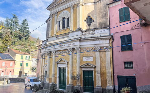Casa Io': Bejdse, Stueplante
