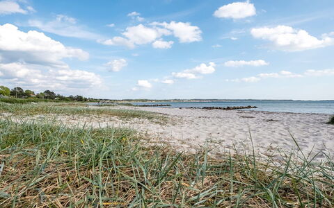 Stavros - 100M from the Sea: Boligområde, Busk, Hus, Hjem, Have, Estate, Skygge, Landscaping, Lawn