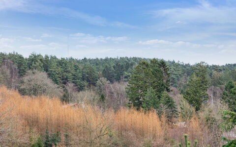 Gunward - 3Km from the Sea: Tækning, Sommerhus, Hus, Tag, Hjem, Stuehus, Hytte, Estate, Landsby