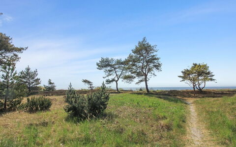 Eick - 800M from the Sea: Lejlighed, Ejerlejlighed, Estate, Altan, Villa, Hotel