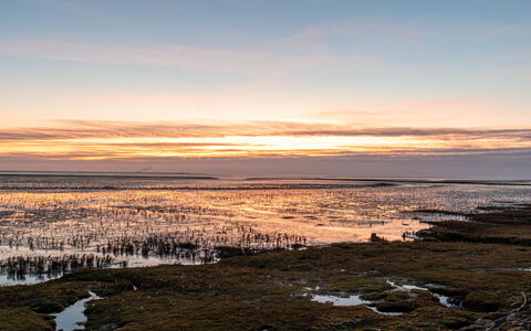 Rollis Kate: Himmel, Vand, Vandressourcer, Horisont, Skumring, Naturlige Landskab, Økoregion, Solnedgang, Sky