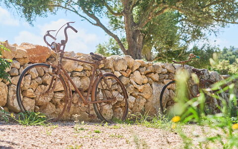 Ca'N Galeri: Hjul, Cykel, Cykelhjul, Cykel Fork