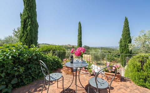 Gaiole in Chianti 915: Busk, Møbel, Udendørs Møbler, Udendørs Bord, Have, Stol, Landscaping, Køkken & Spisebord, Blomsterkrukke