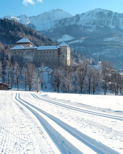 Zell am See 681