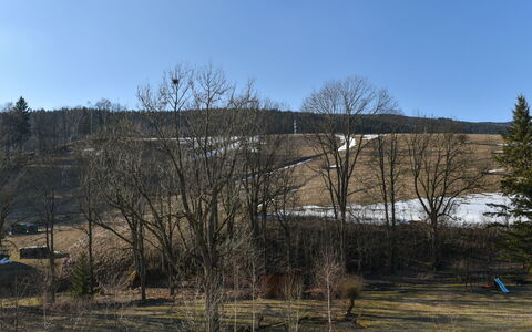 Dolní Lysečiny: Træ, Afdeling, Bakke, Kvist, Bagagerum, Faldt, Vinter, Hældning, Woodland, Shrubland