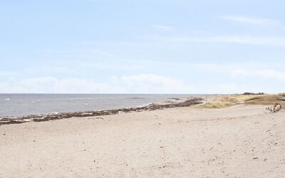 Akira - 250M from the Sea