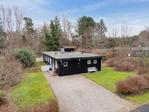 Troels - 1.2Km from the Sea