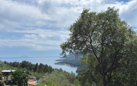 Nira: Blå, Blad, Vegetationen, Plantesamfund, Coastal Og Oceaniske Landskabsformer, Hav, Naturreservat, Hill Station, Jungle, Ocean