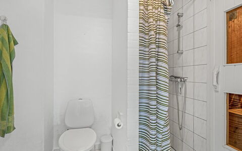 Nikolce - 300M to the Fjord: Væg, Toiletbræt, Sanitærarmatur, Gulvbelægning, Etage, Badeværelse, Toilet, Indretning, Badeforhæng, Badeværelsesvask