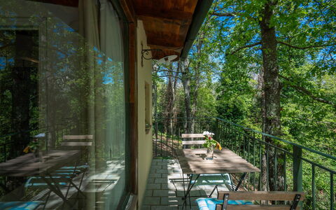 Grace Home, Pool, Wifi, Gambassi Terme: Træ, Møbel, Skov, Stol, Veranda, Naturreservat, Jungle, Hårdttræ, Skygge, Sollys
