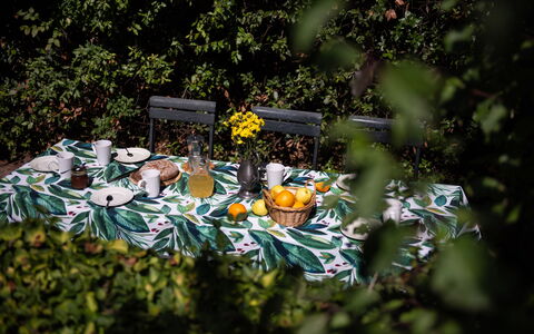 Green Hill Apartment In Tuscan Countryside: Dug, Sengetøj, Serveware, Mad, Udendørs Bord, Tallerkner, Fremstille, Frugt, Udendørs Møbler