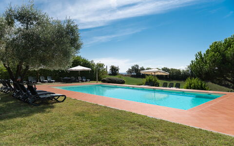 Green Hill Apartment In Tuscan Countryside: Estate, Svømmepøl, Hacienda, Landscaping, Udvej, Plantation, Eco Hotel, Villa, Stuehus
