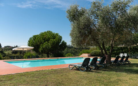 Green Hill Apartment In Tuscan Countryside: Svømmepøl, Udvej, Hacienda, Have, Estate, Landscaping, Eco Hotel, Skygge, Udendørs Møbler, Villa