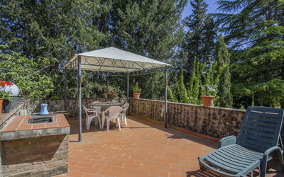 Fattoria Petraglia