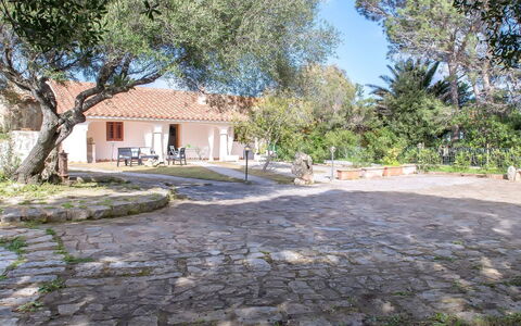 Francesca: Skygge, Flise, Have, Vedplante, Sommerhus, Estate, Landscaping, Backyard, Hacienda, Gård