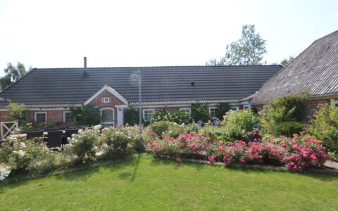 Brigitte - 1.3Km to the Fjord: Sommerhus, Skur, Hytte, Stuehus, Prærie, Hytte, Lade, Bjælkehytte, Garden Bygninger