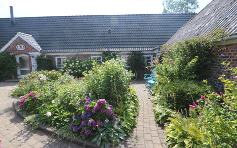 Brigitte - 1.3Km to the Fjord: Sommerhus, Skur, Hytte, Stuehus, Prærie, Hytte, Lade, Bjælkehytte, Garden Bygninger