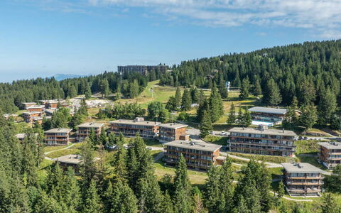 V du Bachat Melezes a: Hill Station, Lærk, Skov, Evergreen, Tropisk Og Subtropisk Nåleskov, Pine Family