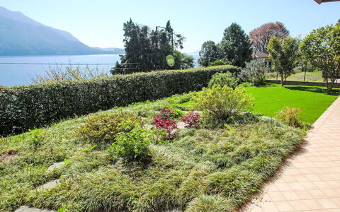 Anna: Grøn, Vegetationen, Busk, Have, Landskab, Plantesamfund, Bunddække, Landscaping, Lawn