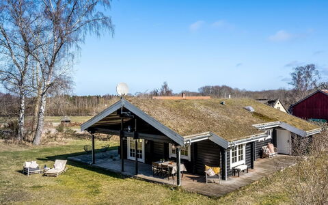 Franka - from the Sea: Vegetationen, Busk, Forår, Sommerhus, Have, Skygge, Backyard, Gård, Stol