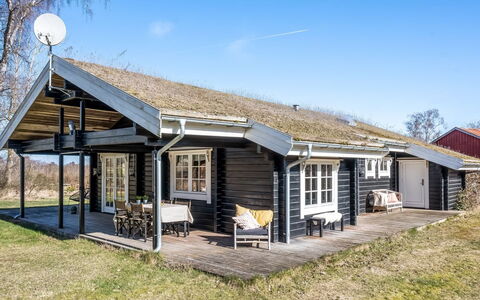 Franka - from the Sea: Vegetationen, Busk, Forår, Sommerhus, Have, Skygge, Backyard, Gård, Stol