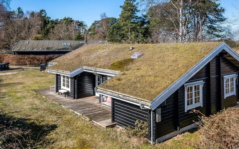 Franka - from the Sea: Vegetationen, Busk, Forår, Sommerhus, Have, Skygge, Backyard, Gård, Stol