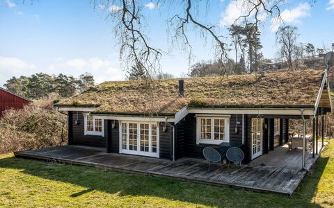 Franka - from the Sea: Vegetationen, Busk, Forår, Sommerhus, Have, Skygge, Backyard, Gård, Stol