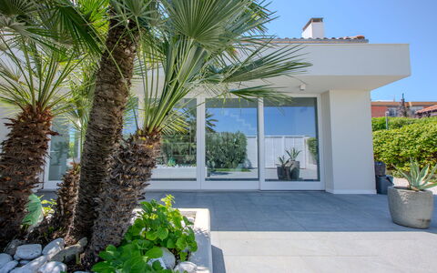Villa Rosa Del Mare: Vedplante, Have, Landscaping, Skygge, Eco Hotel, Stueplante, Tropics, Walkway, Villa