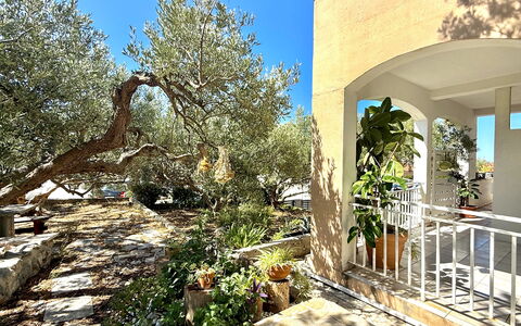 Appartamento Olive Garden, Ac, Wifi, Hvar: Busk, Have, Estate, Skygge, Hacienda, Landscaping, Gård, Stol, Backyard, Villa