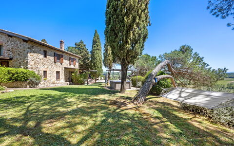 Capanna al Lago, Chianti Heritage in Vineyards: Træ, Have, Estate, Landscaping, Stuehus, Villa, Evergreen, Pine Family