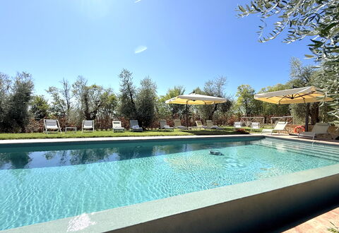 Villa del Mangia, 5Panoramic Pool and Chef Service: Svømmepøl, Træ, Udvej, Udendørs Møbler, Have, Skygge, Eco Hotel, Landscaping, Hacienda, Estate