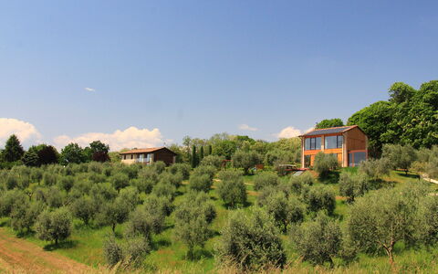 Villa Montello Pool, Jacuzzi, Ac, Wifi, Treviso: Træ, Græs, Busk, Hus, Landdistrikt, Land Lot, Hjem, Plantesamfund, Sommerhus