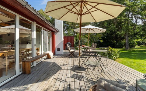 Lauri - 2.3Km from the Sea: Vegetationen, Busk, Forår, Sommerhus, Have, Skygge, Backyard, Gård, Stol