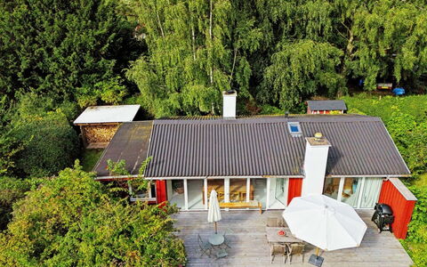 Lauri - 2.3Km from the Sea: Vegetationen, Busk, Forår, Sommerhus, Have, Skygge, Backyard, Gård, Stol