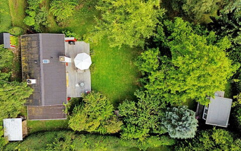 Lauri - 2.3Km from the Sea: Vegetationen, Busk, Forår, Sommerhus, Have, Skygge, Backyard, Gård, Stol