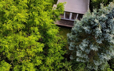 Lauri - 2.3Km from the Sea: Vegetationen, Busk, Forår, Sommerhus, Have, Skygge, Backyard, Gård, Stol