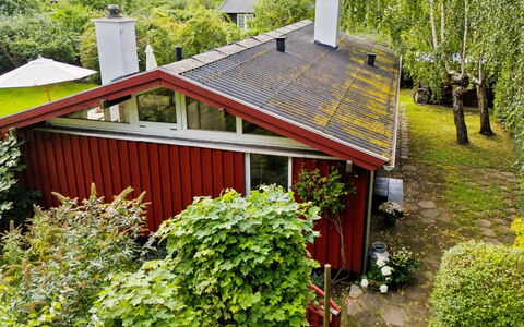 Lauri - 2.3Km from the Sea: Vegetationen, Busk, Forår, Sommerhus, Have, Skygge, Backyard, Gård, Stol