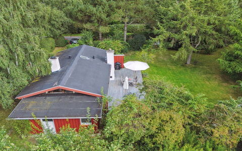 Lauri - 2.3Km from the Sea: Vegetationen, Busk, Forår, Sommerhus, Have, Skygge, Backyard, Gård, Stol