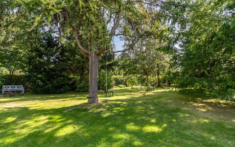 Lauri - 2.3Km from the Sea: Vegetationen, Busk, Forår, Sommerhus, Have, Skygge, Backyard, Gård, Stol
