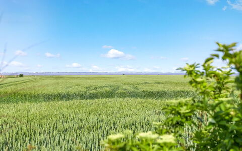 Freja - 12Km from the Sea: Estate, Farm