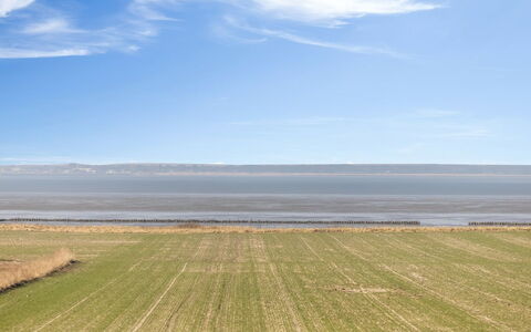 Freja - 12Km from the Sea: Estate, Farm