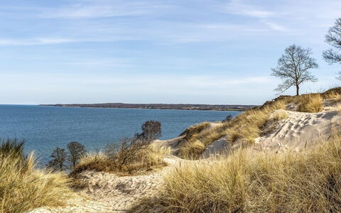 Terttu - 250M from the Sea: Hus, Hjem, Tag, Sommerhus, Estate, Landscaping, Garden Bygninger, Sidespor, Stuehus